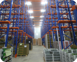 almacenamiento en frio