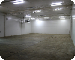 desverdizado de frutas