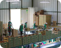 Servicio de guarda en condiciones controladas